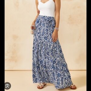 Francesca's Collections Blue and White A-Line Maxi Skirt